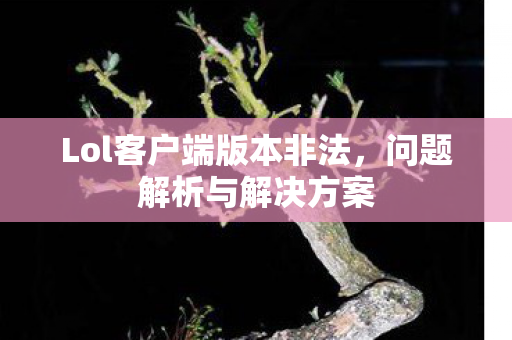 Lol客户端版本非法,问题解析与解决方案 Lol客户端版本非法,问题解析与解决方案