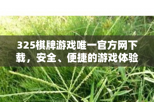 325棋牌游戏唯一官方网下载,安全、便捷的游戏体验 325棋牌游戏唯一官方网下载,安全、便捷的游戏体验
