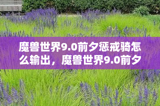 魔兽世界9.0前夕惩戒骑怎么输出,魔兽世界9.0前夕,备战暗影之境,迎接全新挑战 魔兽世界9.0前夕惩戒骑怎么输出,魔兽世界9.0前夕,备战暗影之境,迎接全新挑战