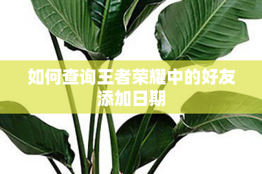 如何查询王者荣耀中的好友添加日期 如何查询王者荣耀中的好友添加日期