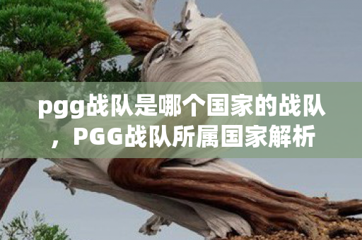 pgg战队是哪个国家的战队,PGG战队所属国家解析 pgg战队是哪个国家的战队,PGG战队所属国家解析