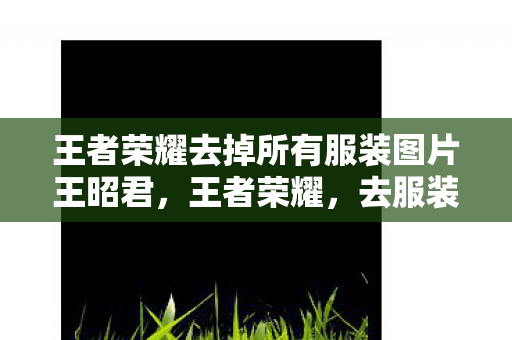 王者荣耀去掉所有服装图片王昭君,王者荣耀,去服装化背后的文化意义与游戏变革 王者荣耀去掉所有服装图片王昭君,王者荣耀,去服装化背后的文化意义与游戏变革