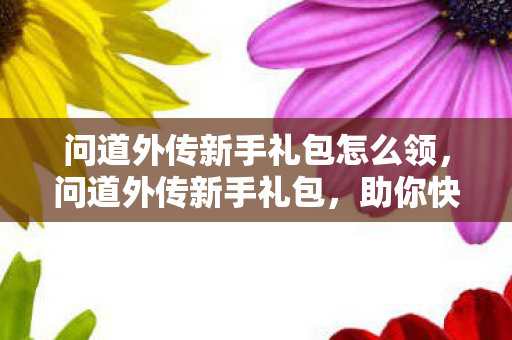 问道外传新手礼包怎么领,问道外传新手礼包,助你快速启程的秘籍 问道外传新手礼包怎么领,问道外传新手礼包,助你快速启程的秘籍
