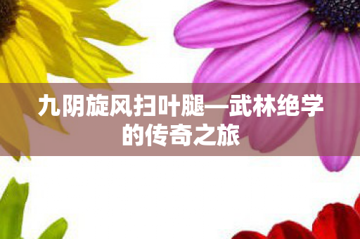 九阴旋风扫叶腿—武林绝学的传奇之旅