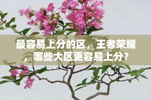 最容易上分的区，王者荣耀，哪些大区更容易上分？