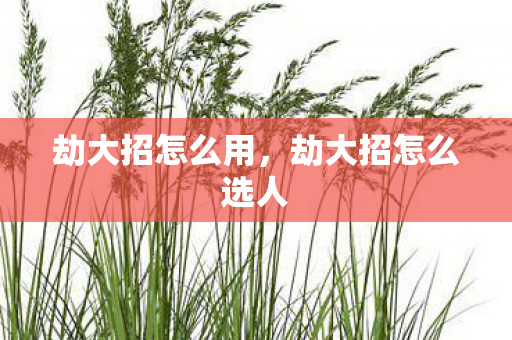 劫大招怎么用，劫大招怎么选人