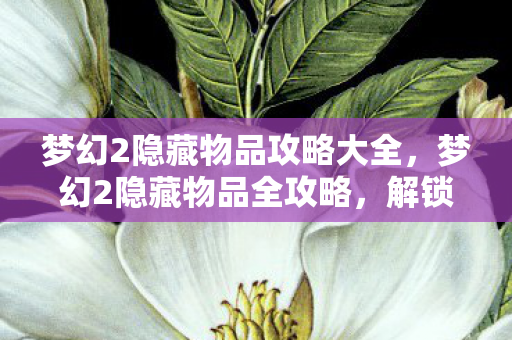 梦幻2隐藏物品攻略大全,梦幻2隐藏物品全攻略,解锁未知宝藏的秘诀 梦幻2隐藏物品攻略大全,梦幻2隐藏物品全攻略,解锁未知宝藏的秘诀