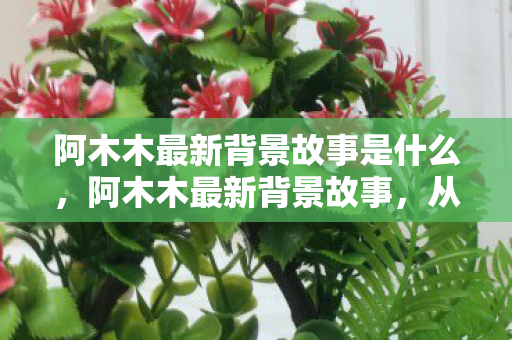 阿木木最新背景故事是什么，阿木木最新背景故事，从孤独到救赎的旅程