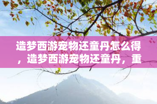 造梦西游宠物还童丹怎么得，造梦西游宠物还童丹，重温经典，再启征程