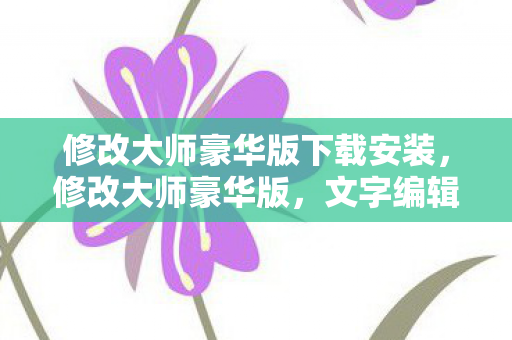修改大师豪华版下载安装，修改大师豪华版，文字编辑的终极利器