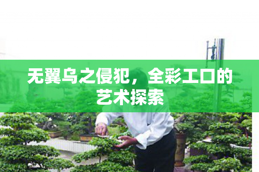 无翼乌之侵犯,全彩工口的艺术探索 无翼乌之侵犯,全彩工口的艺术探索
