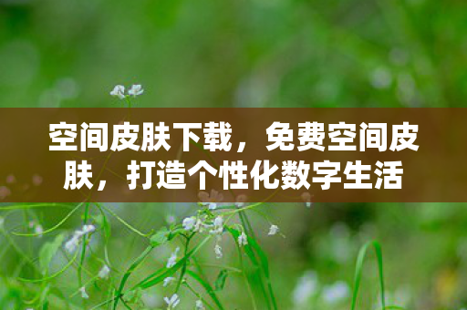 空间皮肤下载,免费空间皮肤,打造个性化数字生活 空间皮肤下载,免费空间皮肤,打造个性化数字生活