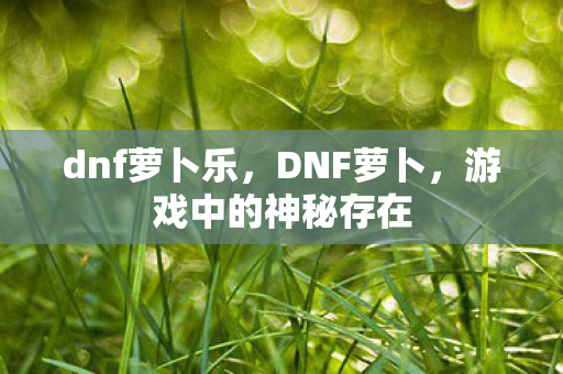 dnf萝卜乐,DNF萝卜,游戏中的神秘存在 dnf萝卜乐,DNF萝卜,游戏中的神秘存在
