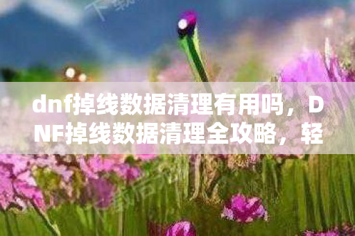 dnf掉线数据清理有用吗,DNF掉线数据清理全攻略,轻松解决掉线烦恼 dnf掉线数据清理有用吗,DNF掉线数据清理全攻略,轻松解决掉线烦恼