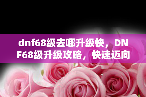 dnf68级去哪升级快，DNF68级升级攻略，快速迈向更高境界