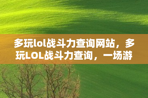 多玩lol战斗力查询网站,多玩LOL战斗力查询,一场游戏数据的深度剖析 多玩lol战斗力查询网站,多玩LOL战斗力查询,一场游戏数据的深度剖析