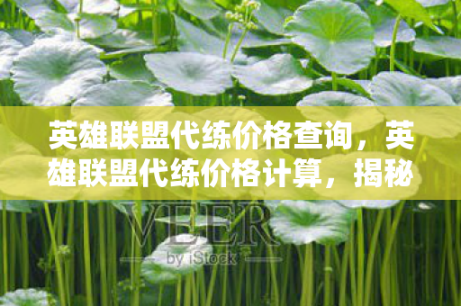 英雄联盟代练价格查询，英雄联盟代练价格计算，揭秘背后的影响因素