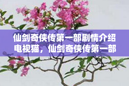 仙剑奇侠传第一部剧情介绍电视猫,仙剑奇侠传第一部剧情介绍 仙剑奇侠传第一部剧情介绍电视猫,仙剑奇侠传第一部剧情介绍