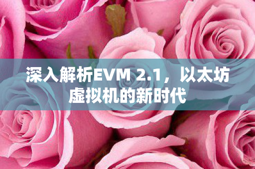 深入解析EVM 2.1,以太坊虚拟机的新时代 深入解析EVM 2.1,以太坊虚拟机的新时代