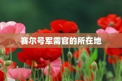 赛尔号军需官的所在地 赛尔号军需官的所在地