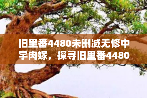 旧里番4480未删减无修中宇肉嫁,探寻旧里番4480,一段被遗忘的动画传奇 旧里番4480未删减无修中宇肉嫁,探寻旧里番4480,一段被遗忘的动画传奇