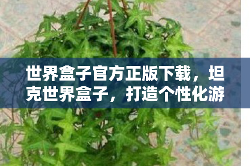 世界盒子官方正版下载，坦克世界盒子，打造个性化游戏世界的必备神器