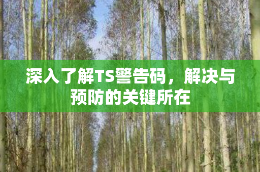 深入了解TS警告码，解决与预防的关键所在