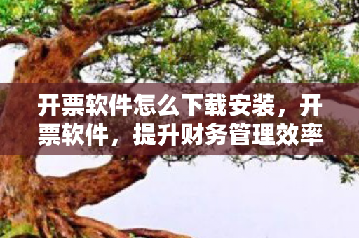 开票软件怎么下载安装，开票软件，提升财务管理效率的关键工具