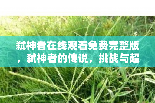 弑神者在线观看免费完整版，弑神者的传说，挑战与超越的传奇