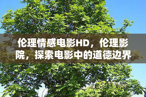 伦理情感电影HD,伦理影院,探索电影中的道德边界 伦理情感电影HD,伦理影院,探索电影中的道德边界