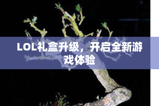 LOL礼盒升级,开启全新游戏体验 LOL礼盒升级,开启全新游戏体验