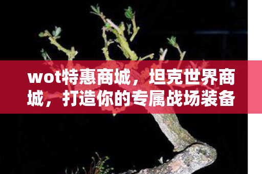 wot特惠商城,坦克世界商城,打造你的专属战场装备 wot特惠商城,坦克世界商城,打造你的专属战场装备