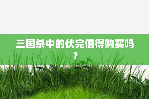 三国杀中的伏完值得购买吗? 三国杀中的伏完值得购买吗?