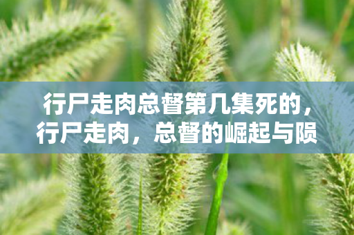 行尸走肉总督第几集死的,行尸走肉,总督的崛起与陨落 行尸走肉总督第几集死的,行尸走肉,总督的崛起与陨落