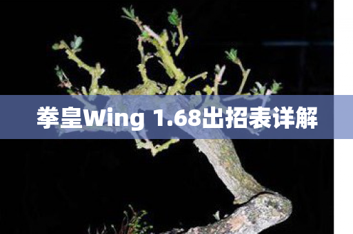 拳皇Wing 1.68出招表详解 拳皇Wing 1.68出招表详解