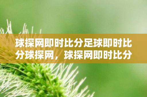 球探网即时比分足球即时比分球探网,球探网即时比分,掌握比赛动态,尽在掌握 球探网即时比分足球即时比分球探网,球探网即时比分,掌握比赛动态,尽在掌握