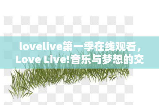 lovelive第一季在线观看，Love Live!音乐与梦想的交响曲