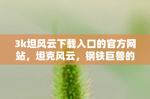 3k坦风云下载入口的官方网站,坦克风云,钢铁巨兽的战场传奇 3k坦风云下载入口的官方网站,坦克风云,钢铁巨兽的战场传奇