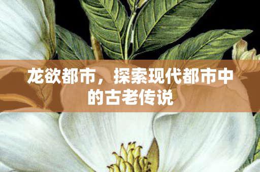 龙欲都市,探索现代都市中的古老传说 龙欲都市,探索现代都市中的古老传说