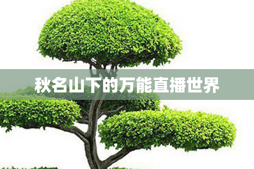 秋名山下的万能直播世界 秋名山下的万能直播世界