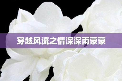 穿越风流之情深深雨蒙蒙 穿越风流之情深深雨蒙蒙