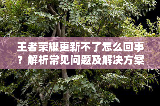 王者荣耀更新不了怎么回事?解析常见问题及解决方案 王者荣耀更新不了怎么回事?解析常见问题及解决方案