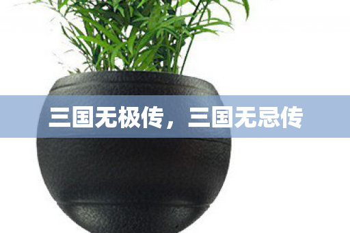 三国无极传,三国无忌传 三国无极传,三国无忌传