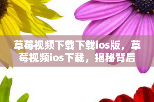 草莓视频下载下载ios版,草莓视频ios下载,揭秘背后的真相与风险 草莓视频下载下载ios版,草莓视频ios下载,揭秘背后的真相与风险