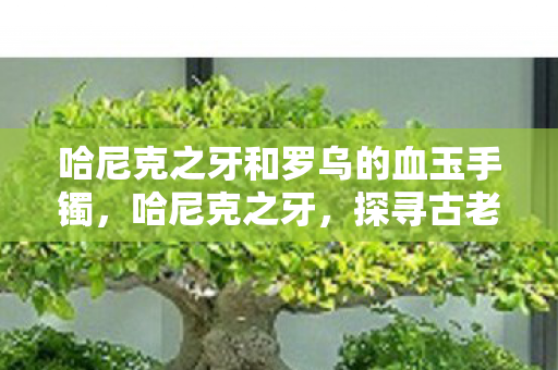 哈尼克之牙和罗乌的血玉手镯,哈尼克之牙,探寻古老文明的神秘遗物 哈尼克之牙和罗乌的血玉手镯,哈尼克之牙,探寻古老文明的神秘遗物