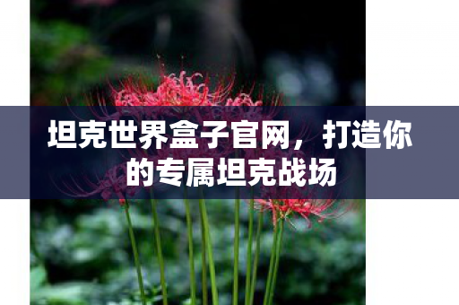 坦克世界盒子官网,打造你的专属坦克战场 坦克世界盒子官网,打造你的专属坦克战场