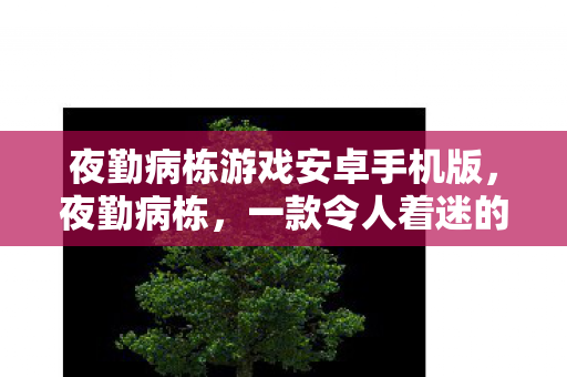 夜勤病栋游戏安卓手机版,夜勤病栋,一款令人着迷的恐怖冒险游戏 夜勤病栋游戏安卓手机版,夜勤病栋,一款令人着迷的恐怖冒险游戏