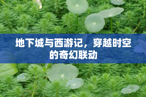 地下城与西游记,穿越时空的奇幻联动 地下城与西游记,穿越时空的奇幻联动