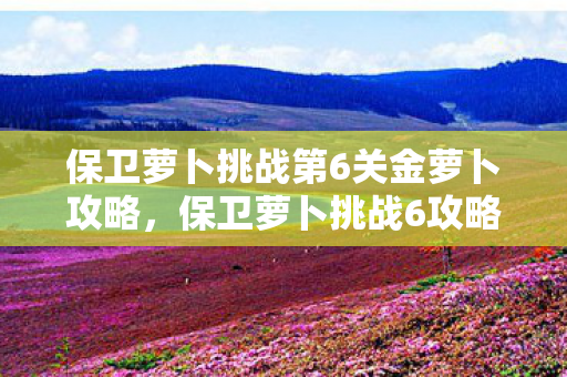 保卫萝卜挑战第6关金萝卜攻略,保卫萝卜挑战6攻略,金萝卜布阵图详解 保卫萝卜挑战第6关金萝卜攻略,保卫萝卜挑战6攻略,金萝卜布阵图详解