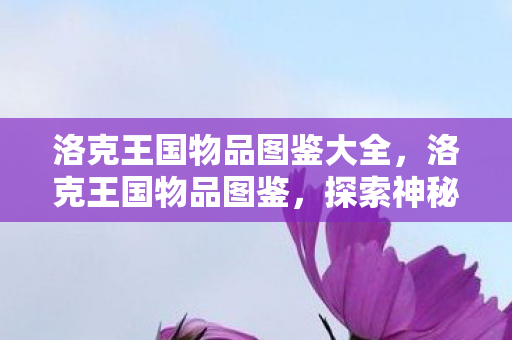 洛克王国物品图鉴大全，洛克王国物品图鉴，探索神秘王国的奇妙宝藏